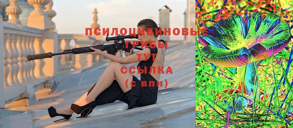 твердый Алексин