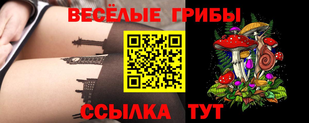 Галлюциногенные грибы Psilocybe  Вход с VPN  магазин    Конаково 